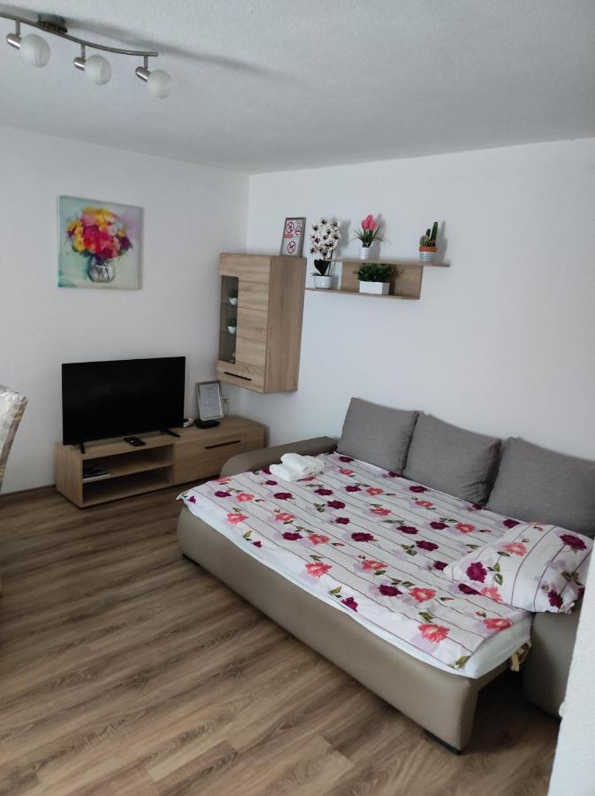 Apartment Sanja Смолянац Экстерьер фото